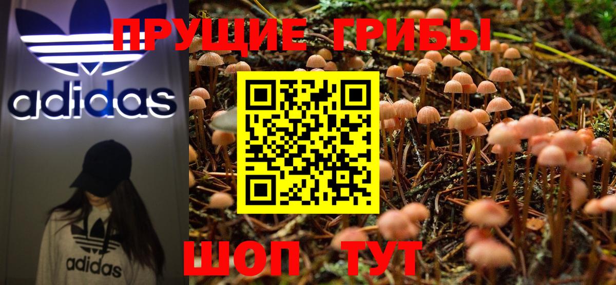 Псилоцибиновые грибы Cubensis  Вход с VPN  Таганрог 