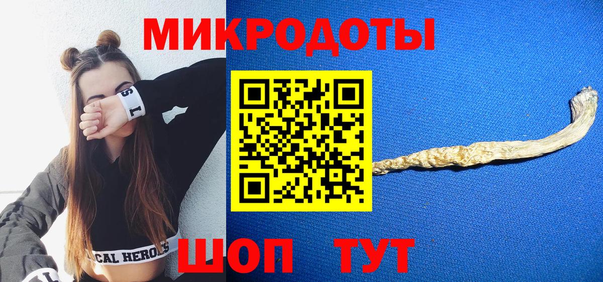 Псилоцибиновые грибы Cubensis Таганрог